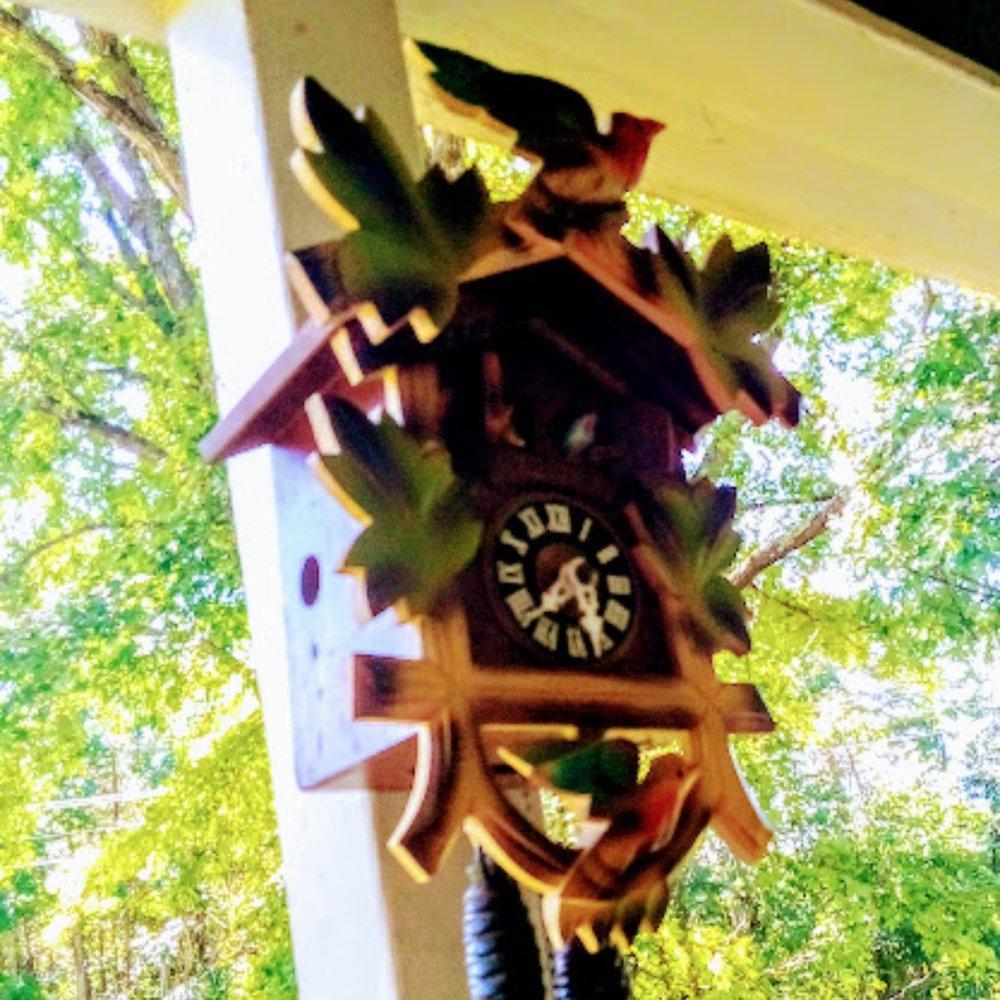 German made wooden cuckoo clock 1 day works